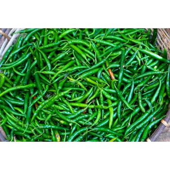 Organic Green Chilli